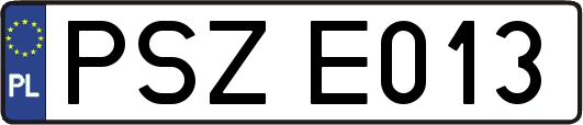 PSZE013
