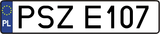 PSZE107