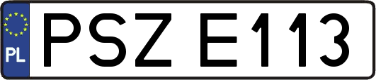 PSZE113