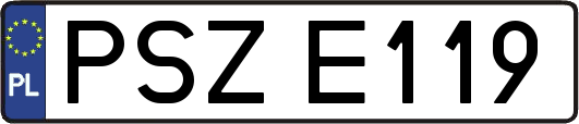 PSZE119