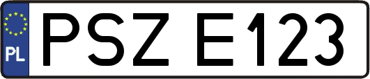 PSZE123