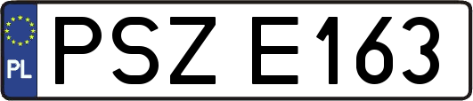 PSZE163