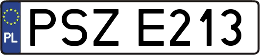 PSZE213