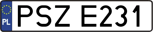 PSZE231