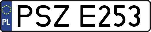 PSZE253