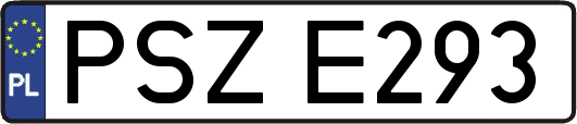 PSZE293