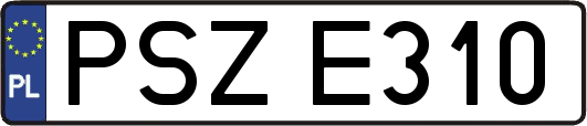 PSZE310