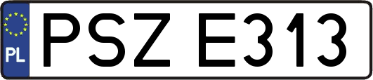 PSZE313