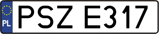 PSZE317