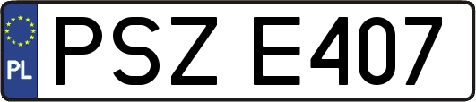PSZE407