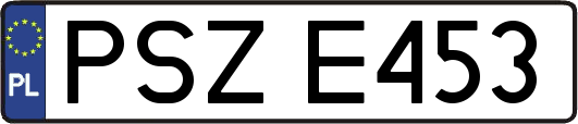 PSZE453