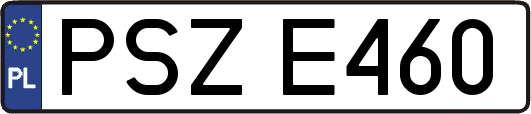 PSZE460
