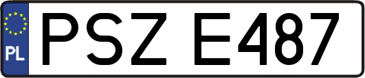 PSZE487