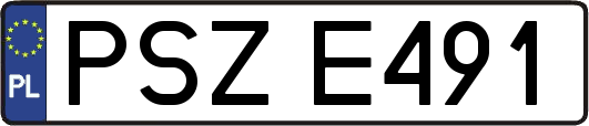 PSZE491