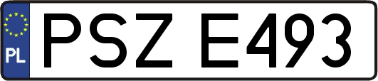 PSZE493
