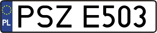 PSZE503