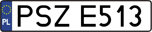 PSZE513