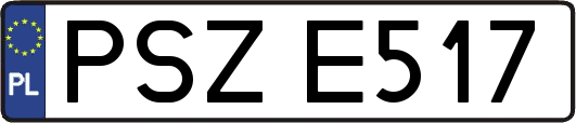 PSZE517