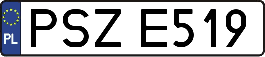 PSZE519