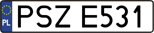 PSZE531