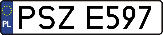 PSZE597