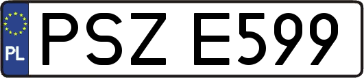 PSZE599