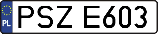 PSZE603