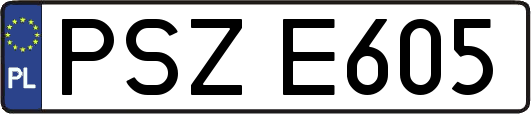 PSZE605