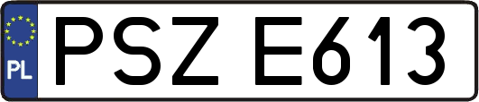 PSZE613
