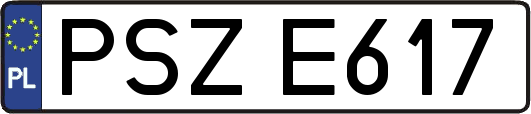 PSZE617