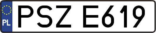 PSZE619