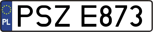 PSZE873