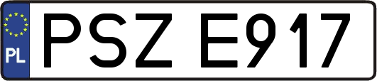 PSZE917