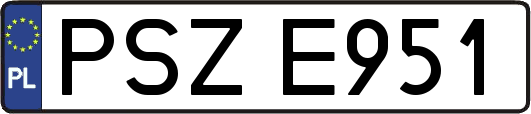 PSZE951
