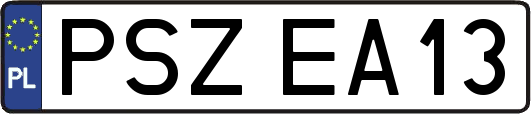 PSZEA13