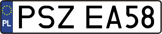 PSZEA58