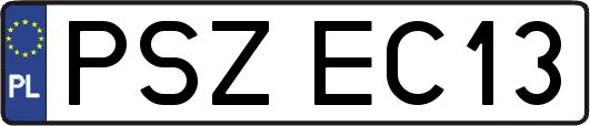 PSZEC13