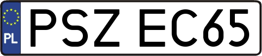 PSZEC65