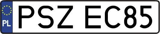 PSZEC85