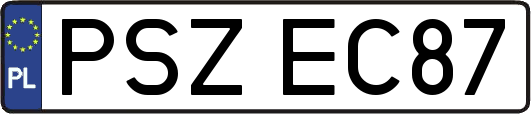 PSZEC87