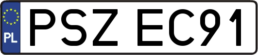 PSZEC91