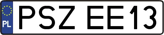 PSZEE13
