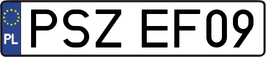 PSZEF09