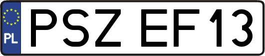 PSZEF13