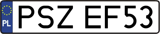 PSZEF53