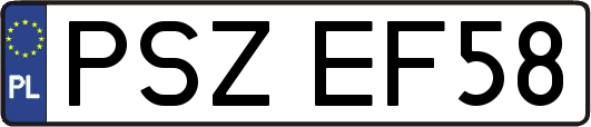 PSZEF58