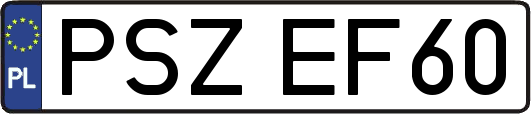 PSZEF60