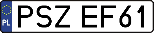 PSZEF61