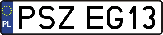 PSZEG13