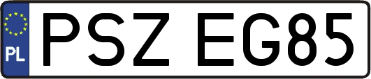 PSZEG85